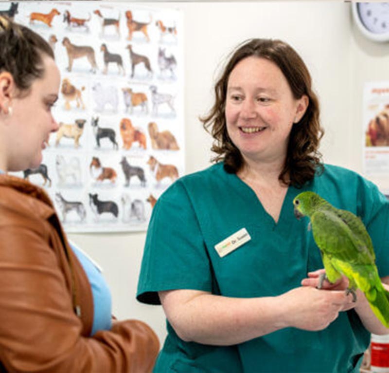 myvet Strathfieldsaye - Vet Services - Avian Consultations
