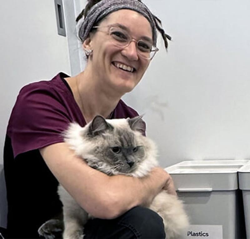 myvet Strathfieldsaye - Cat Friendly Clinic - Travel Information