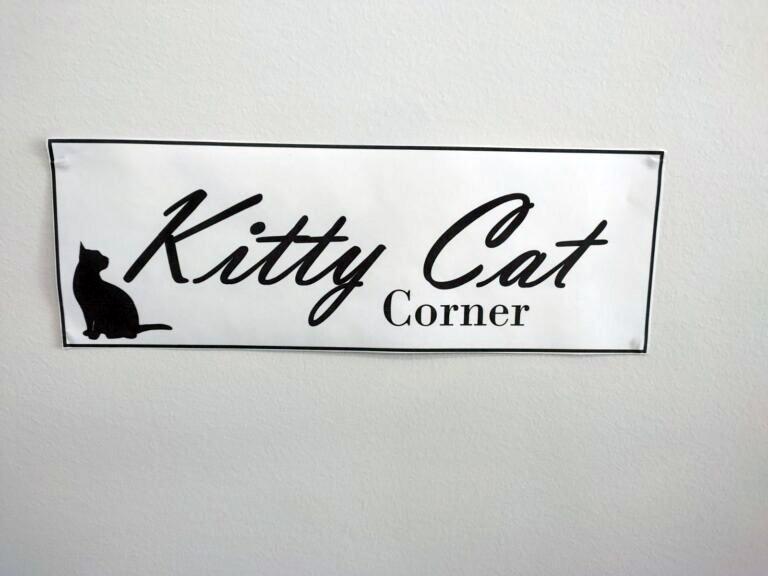 myvet Strathfieldsaye - Cat Friendly Clinic - Kitty Cat Corner