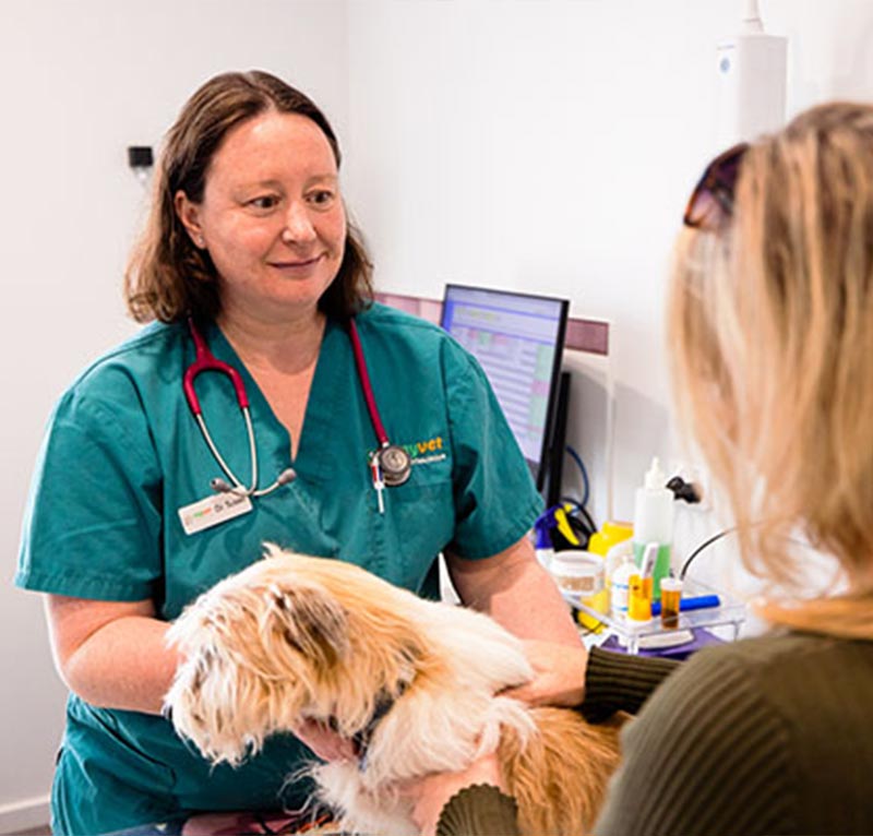 myvet Strathfieldsaye - Pet Care Services Bendigo - Flea Control