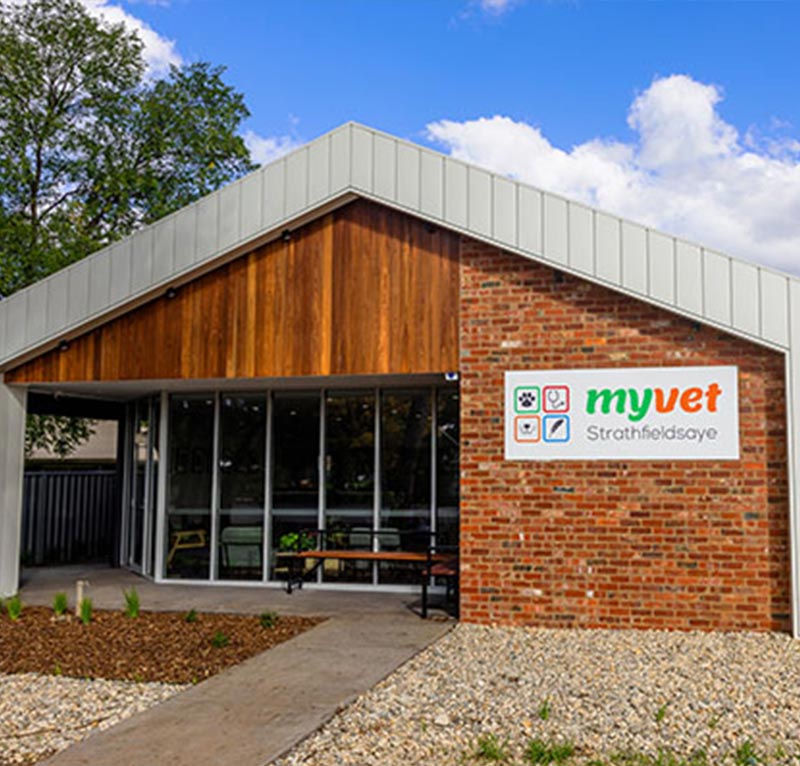 myvet Strathfieldsaye - Contact Us