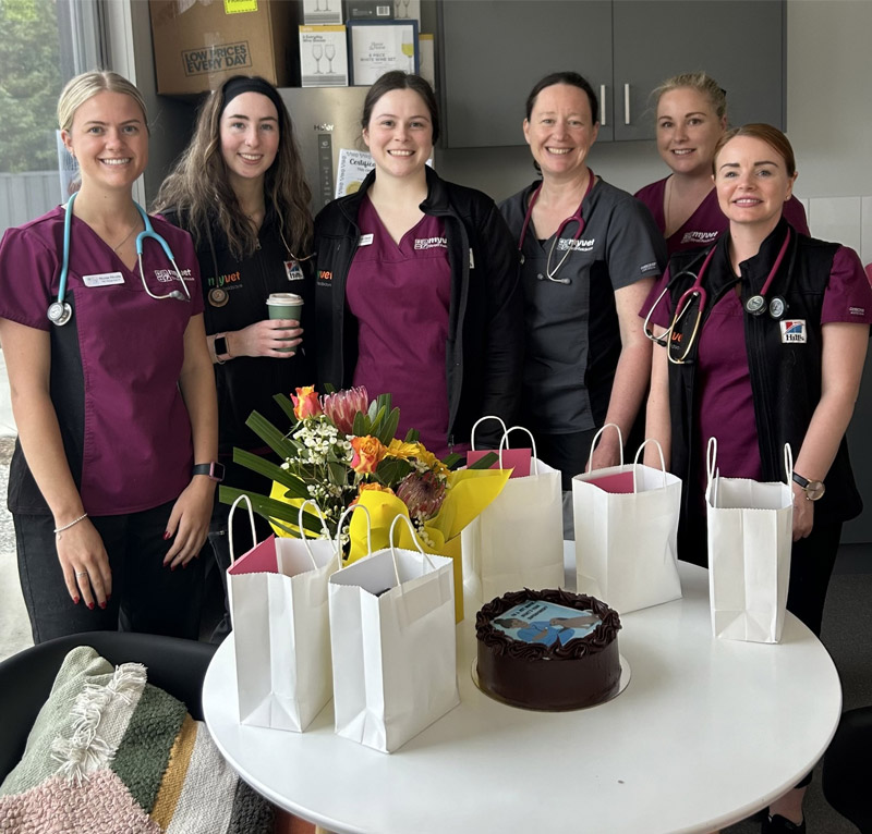 myvet Strathfieldsaye - Our Expert Team