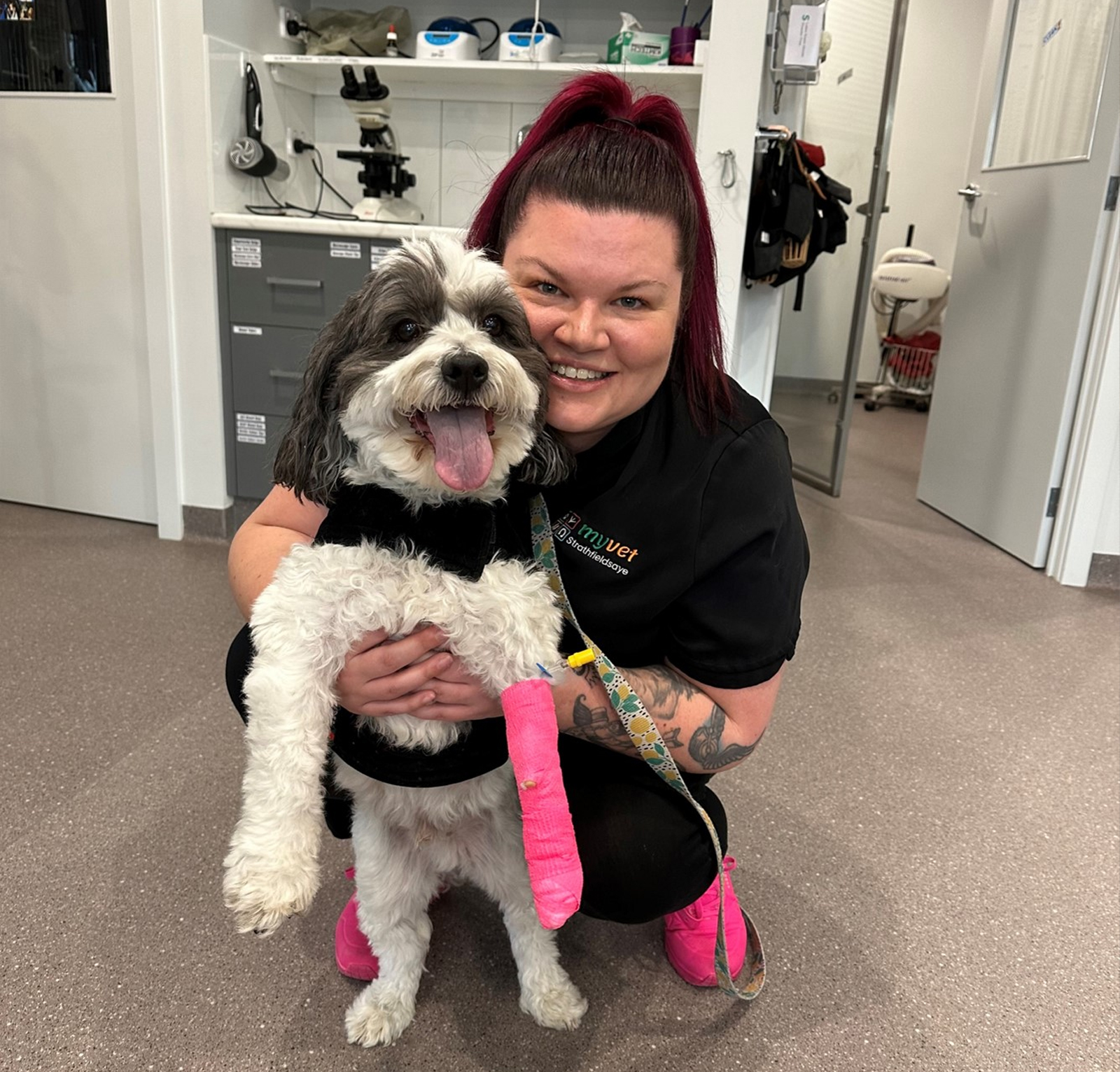 myvet Strathfieldsaye - Pet Surgery Bendigo