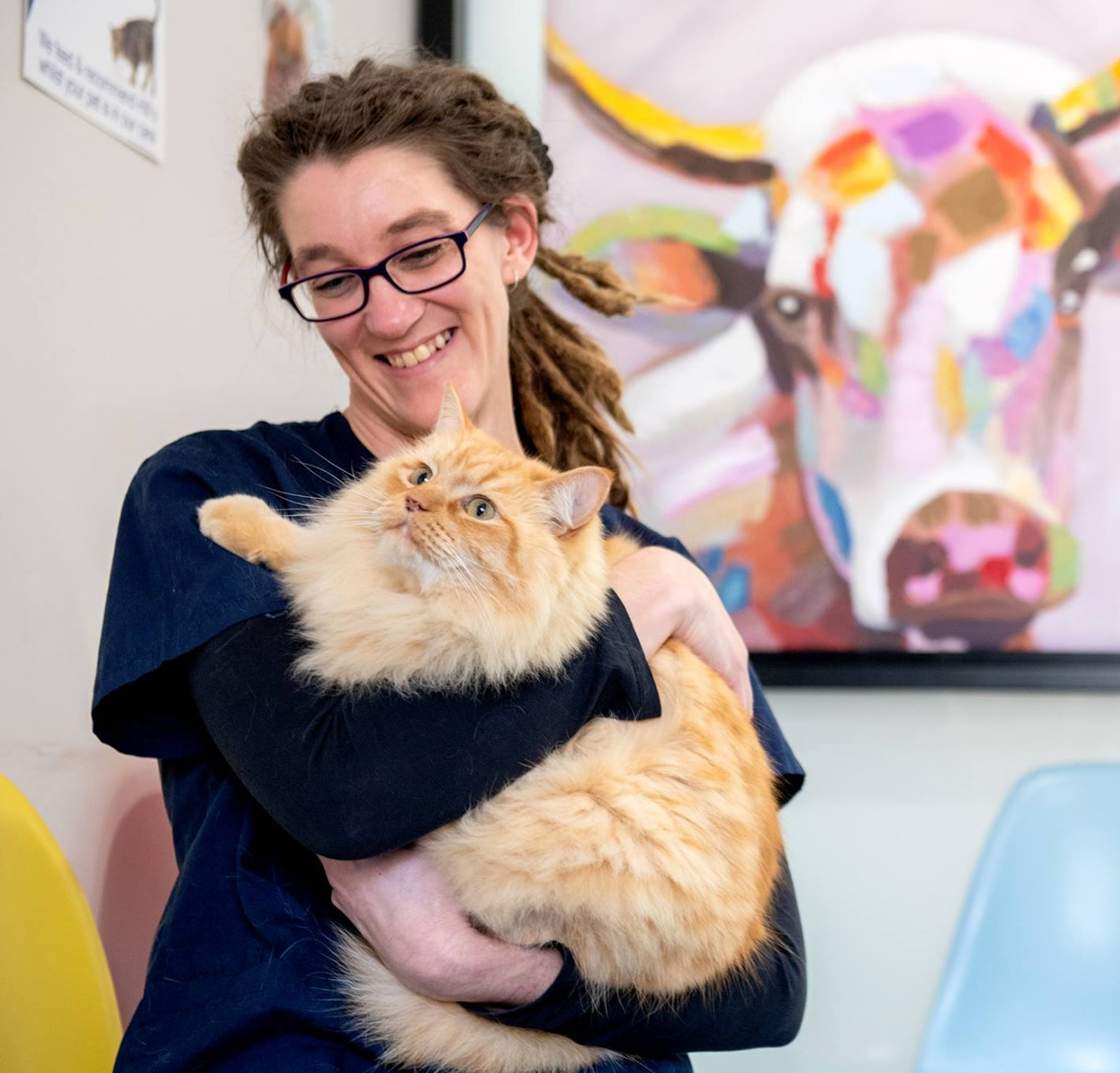 myvet Strathfieldsaye - Meet Our Team - Amanda Wilhelms