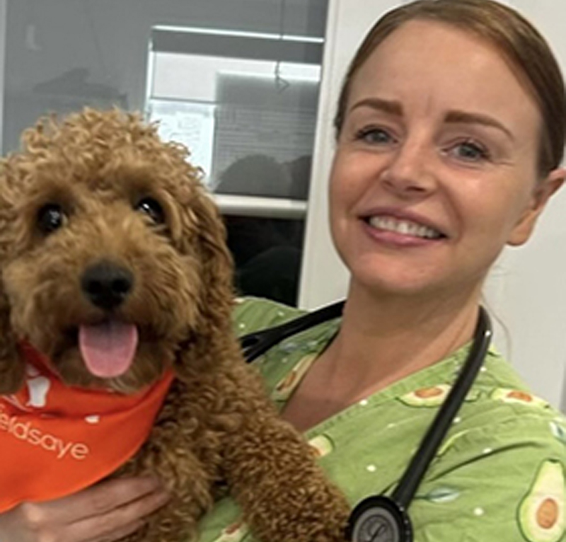 myvet Strathfieldsaye - Meet our Team - Rebecca Bright