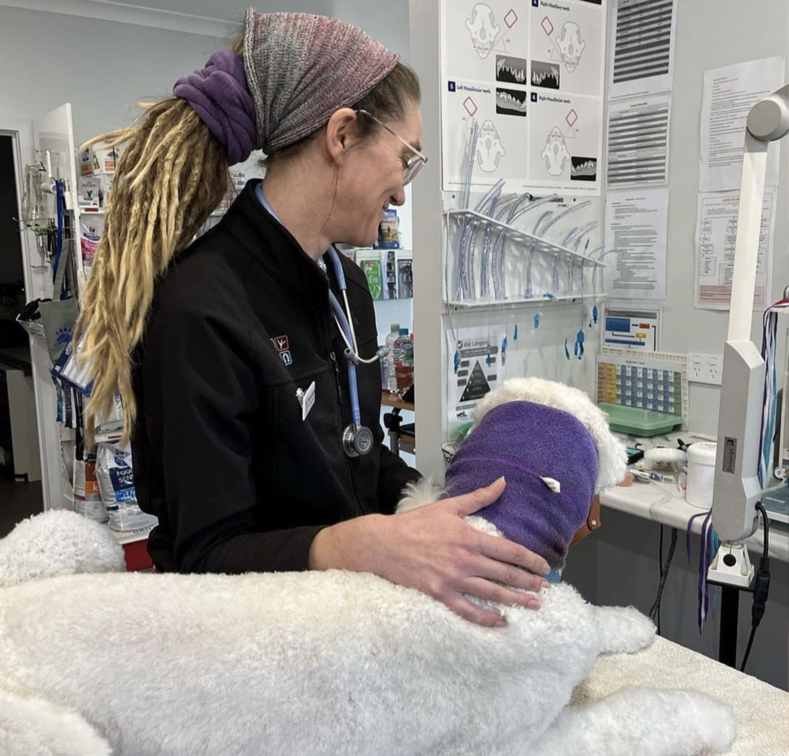 myvet Strathfieldsaye - Pet Surgery Bendigo