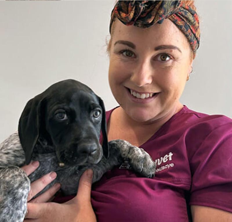 myvet Strathfieldsaye - Vet Services - Puppy Vaccinations