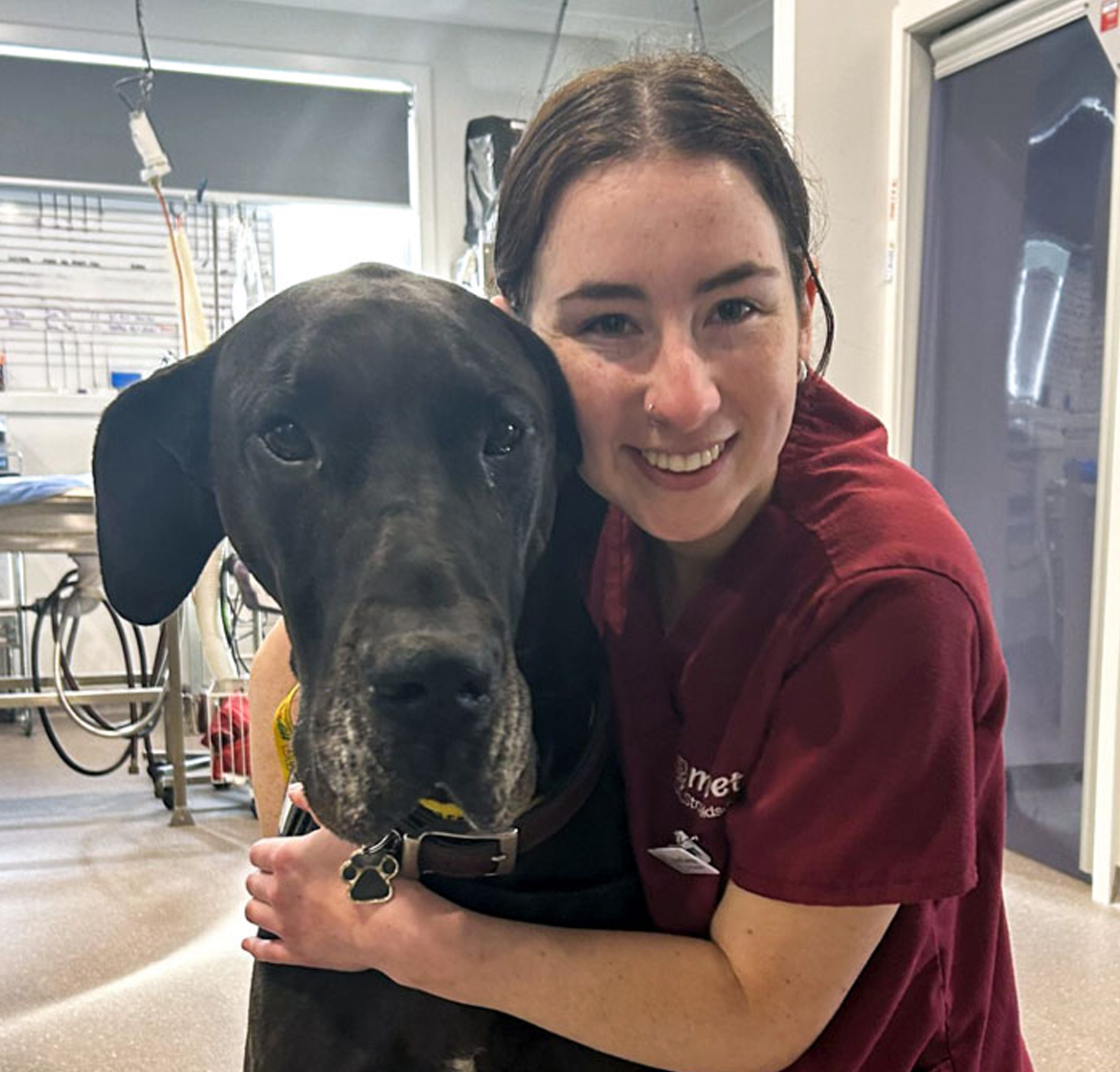 myvet Strathfieldsaye - Senior Pet Care Bendigo