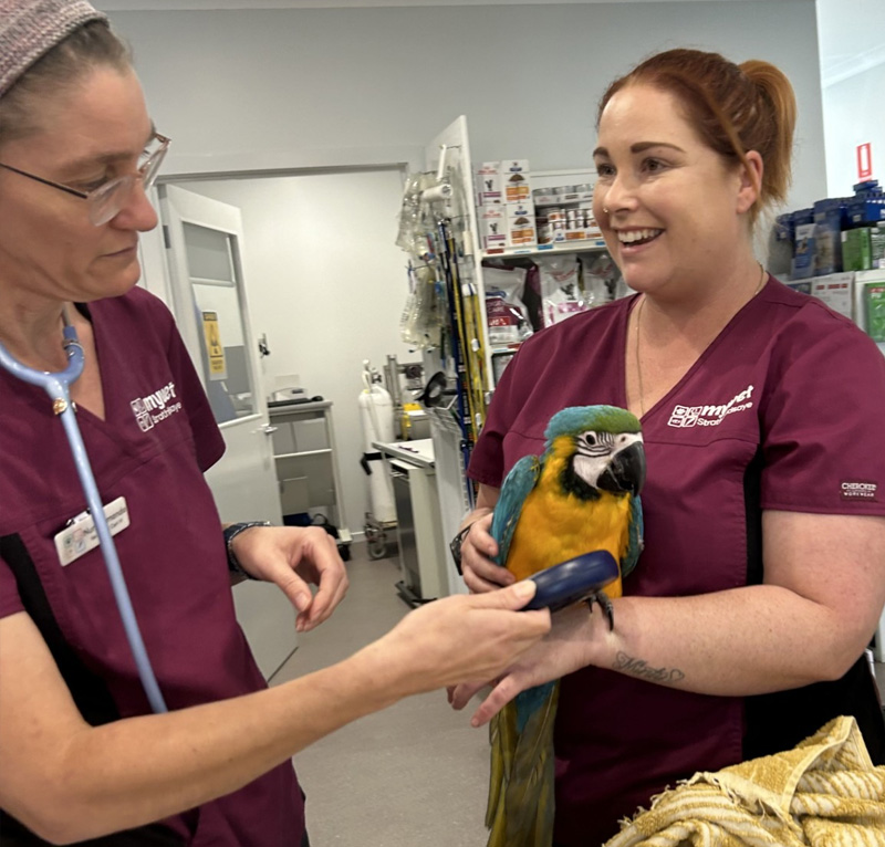 myvet Strathfieldsaye - Avian Vet Services