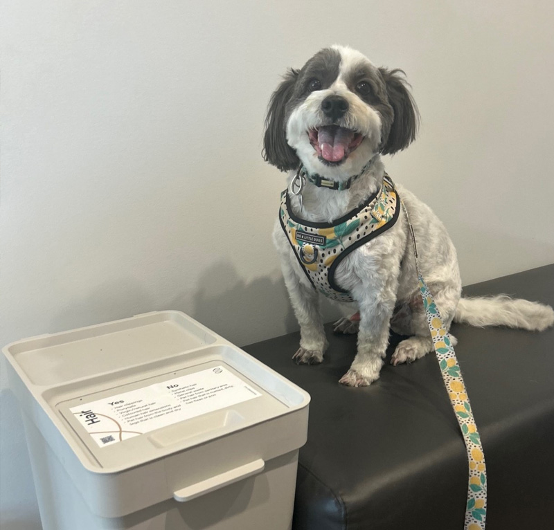 myvet Strathfieldsaye - Payment Options