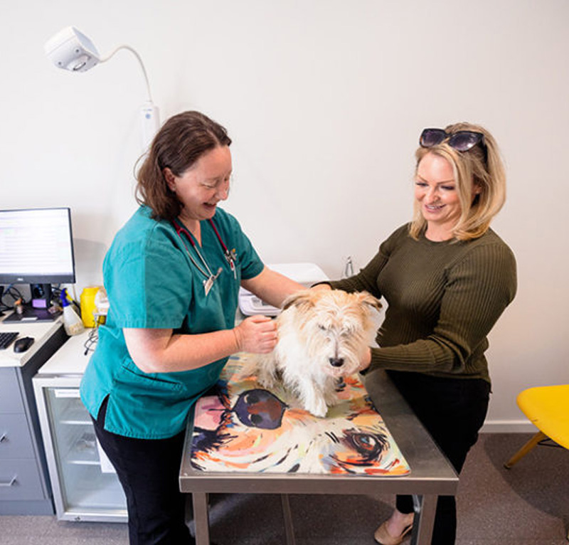 myvet Strathfieldsaye - Expert Vet Services